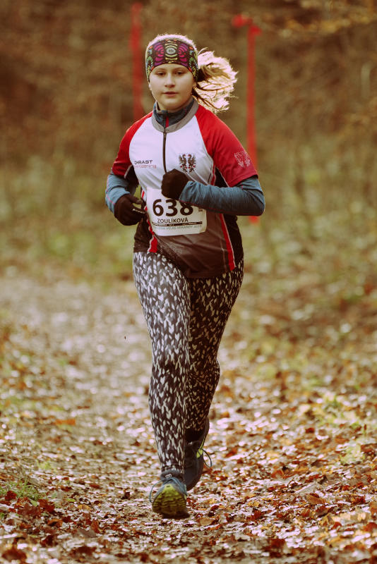 Zoulíková Vendula 2019