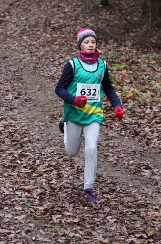 Holingrová Natálie 2019