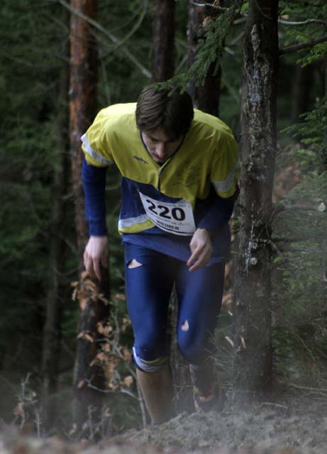 Weiner Jakub 2007