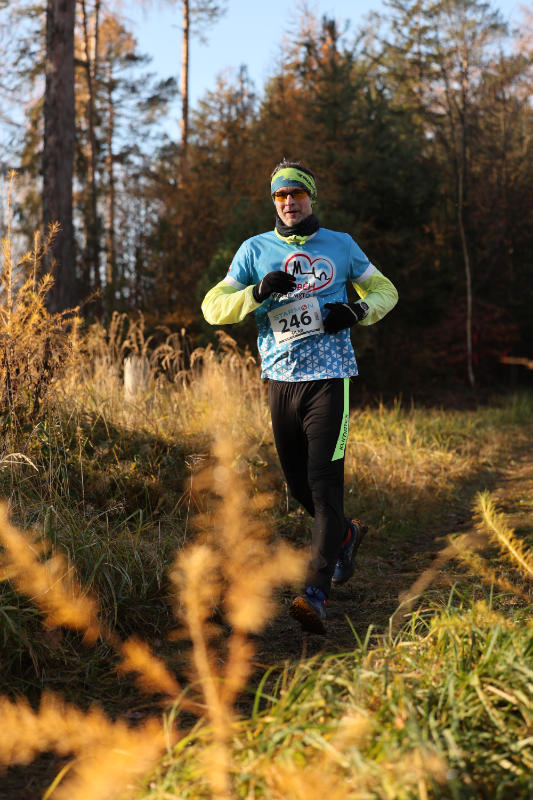 Runners in a foggy winter forest.