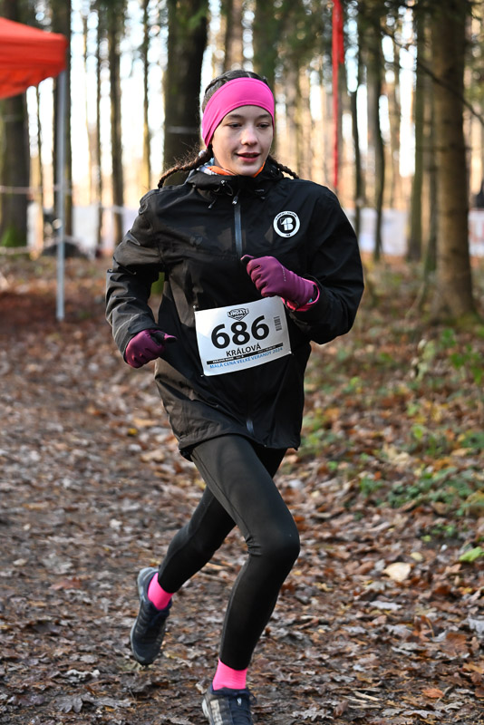 Králová Marie 2024