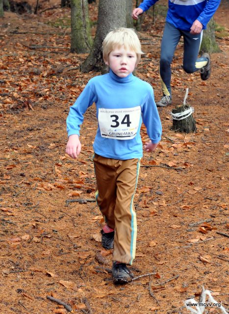 Grundman Viktor 2009