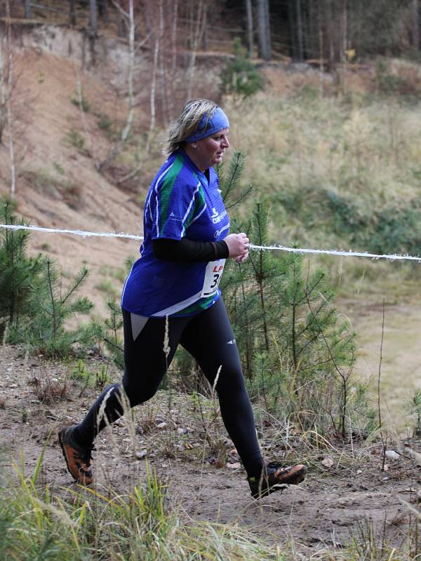 Kosová Leona 2011
