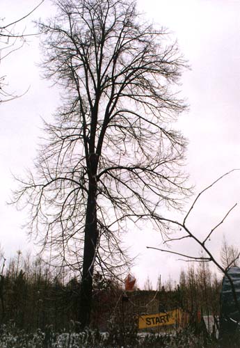 1998 — Atmosféra