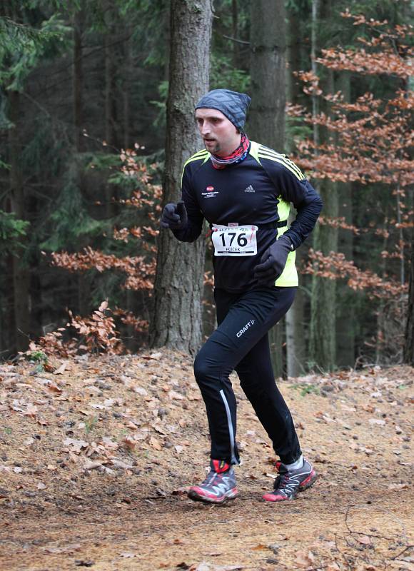 Holíček Jiří 2011