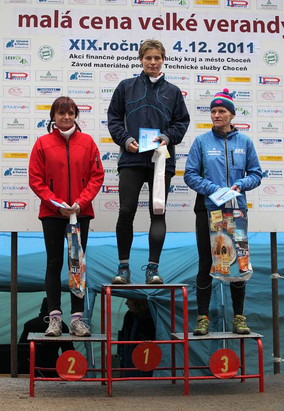 Kaplanová Iva 2011