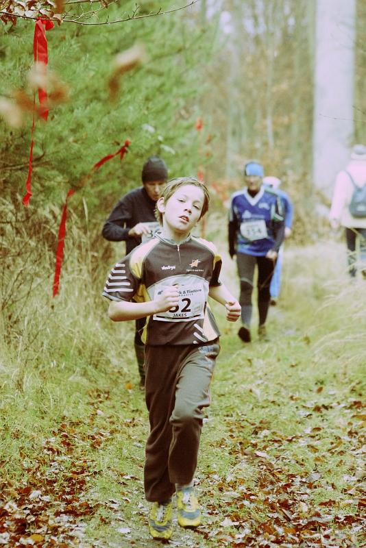 Jakeš Josef 2011