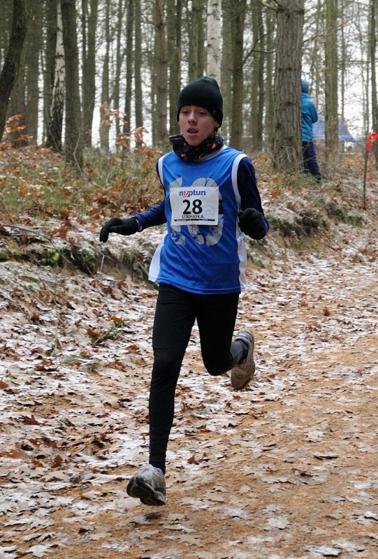 Střihavka Jindřich 2012