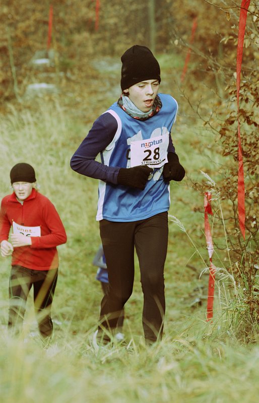 Střihavka Jindřich 2012