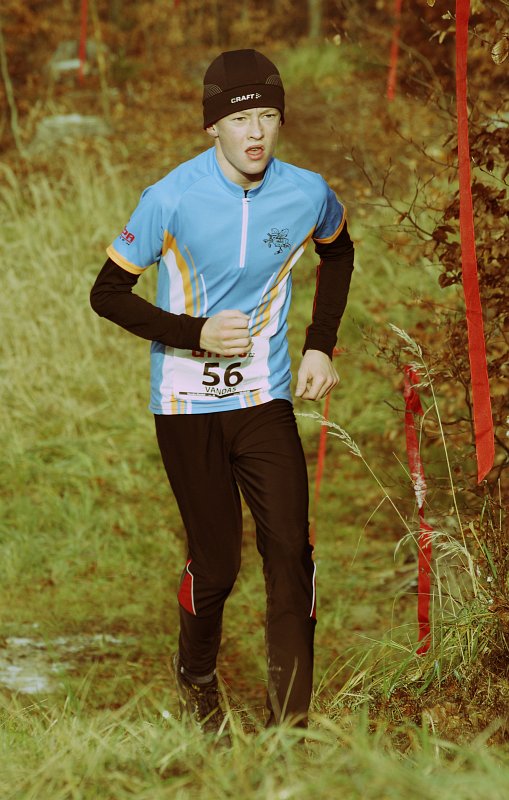 Vandas Daniel 2012