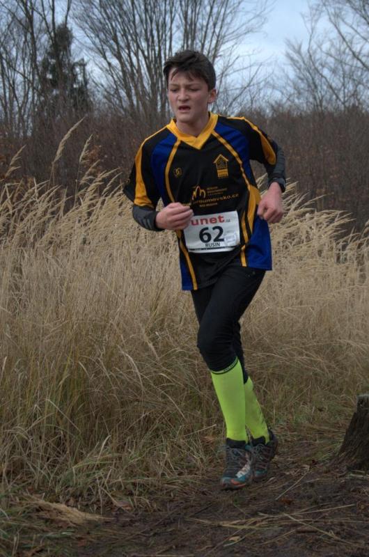 Rusin Jan 2013