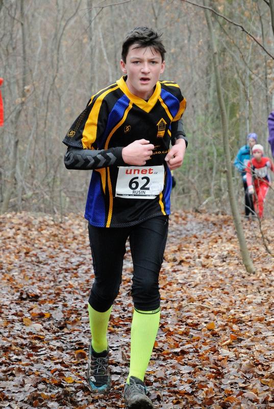 Rusin Jan 2013