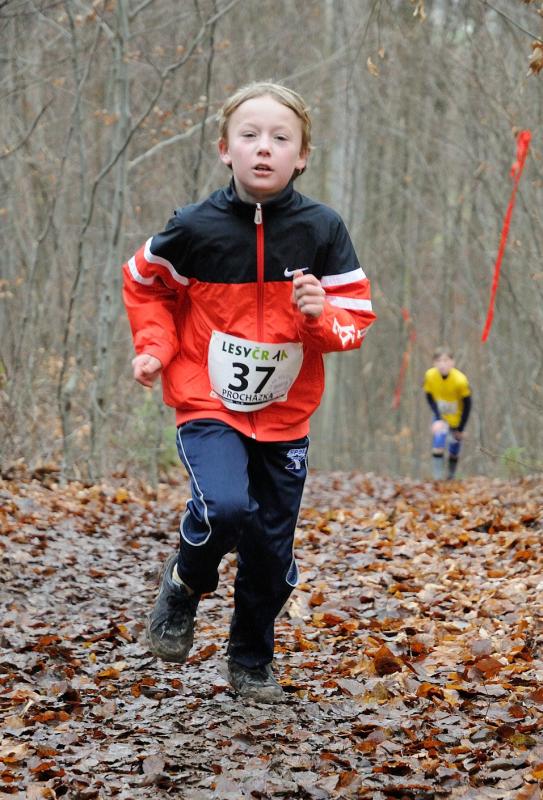 Procházka Dominik 2013