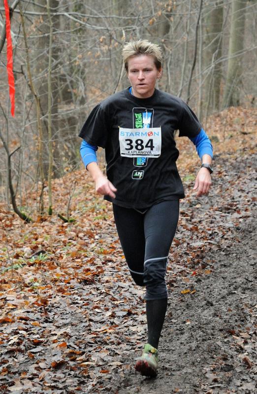 Kaplanová Iva 2013