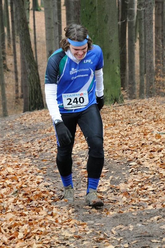 Zelinka Jan 2013