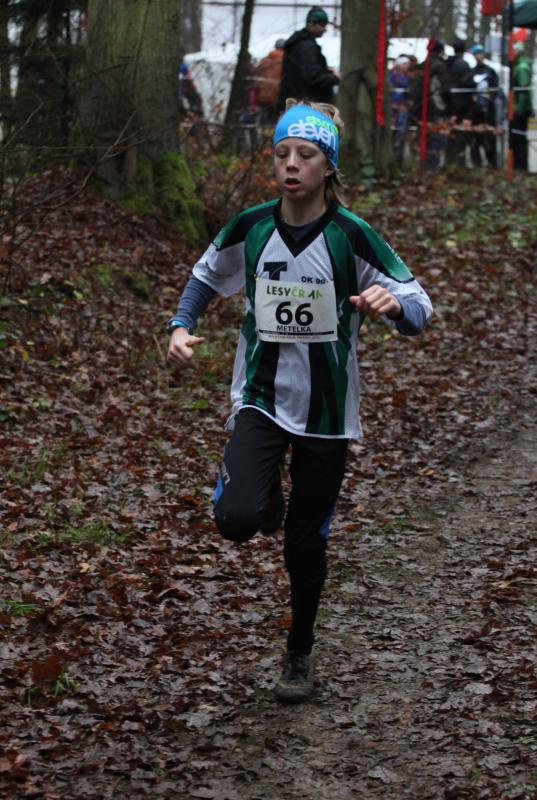 Metelka Ondřej 2014