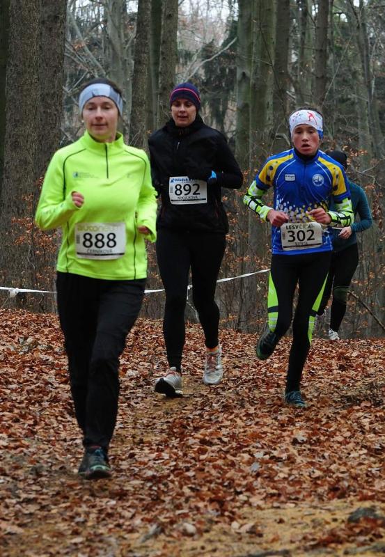Štregl Matyáš 2016