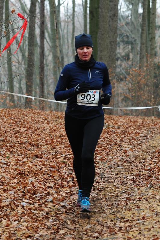 Nováková Kateřina 2016