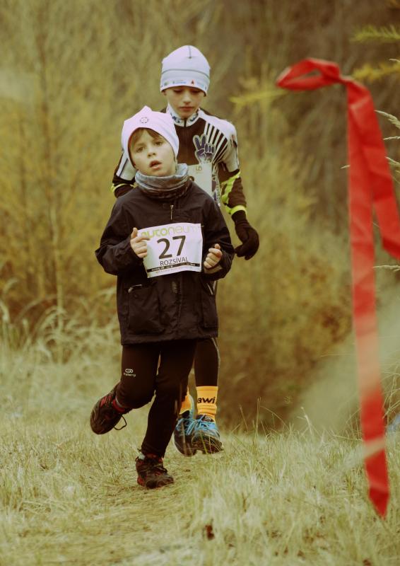 Rozsíval Vít 2016