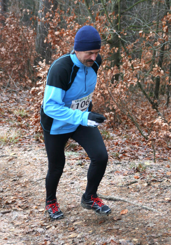 Sisr František 2017