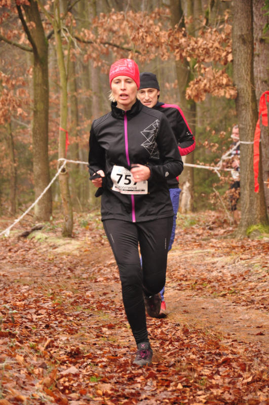 Koditková Ilona 2017
