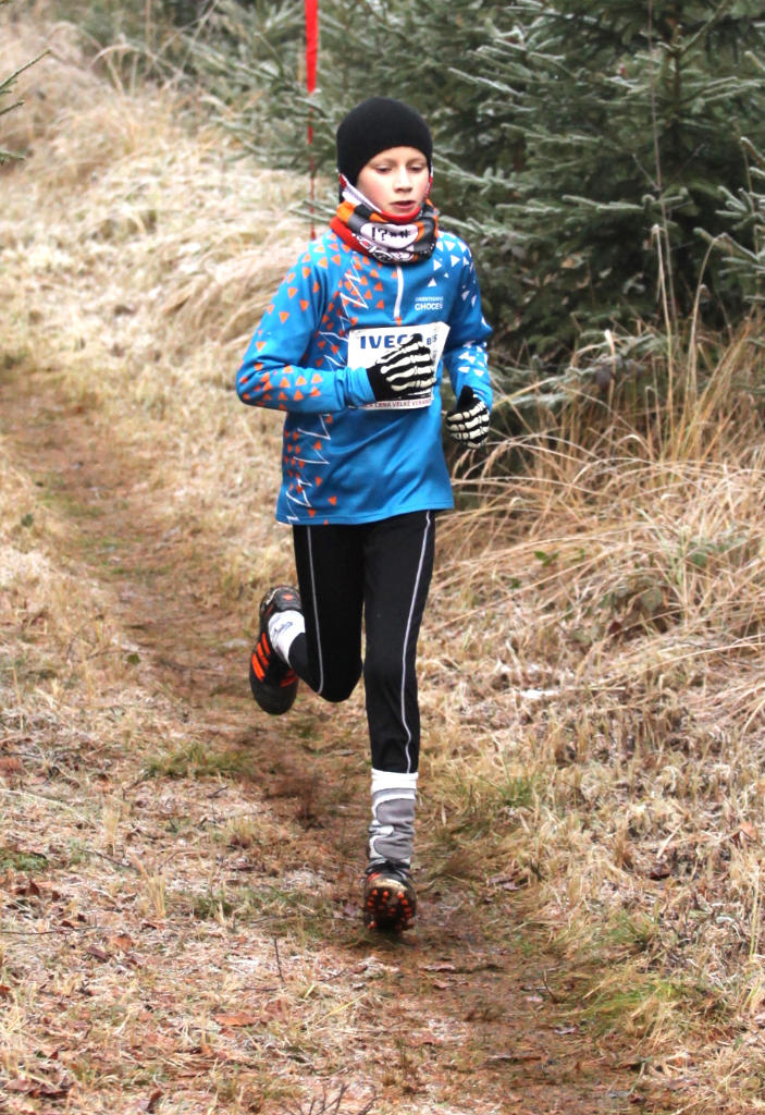 Štangler Jiří 2017