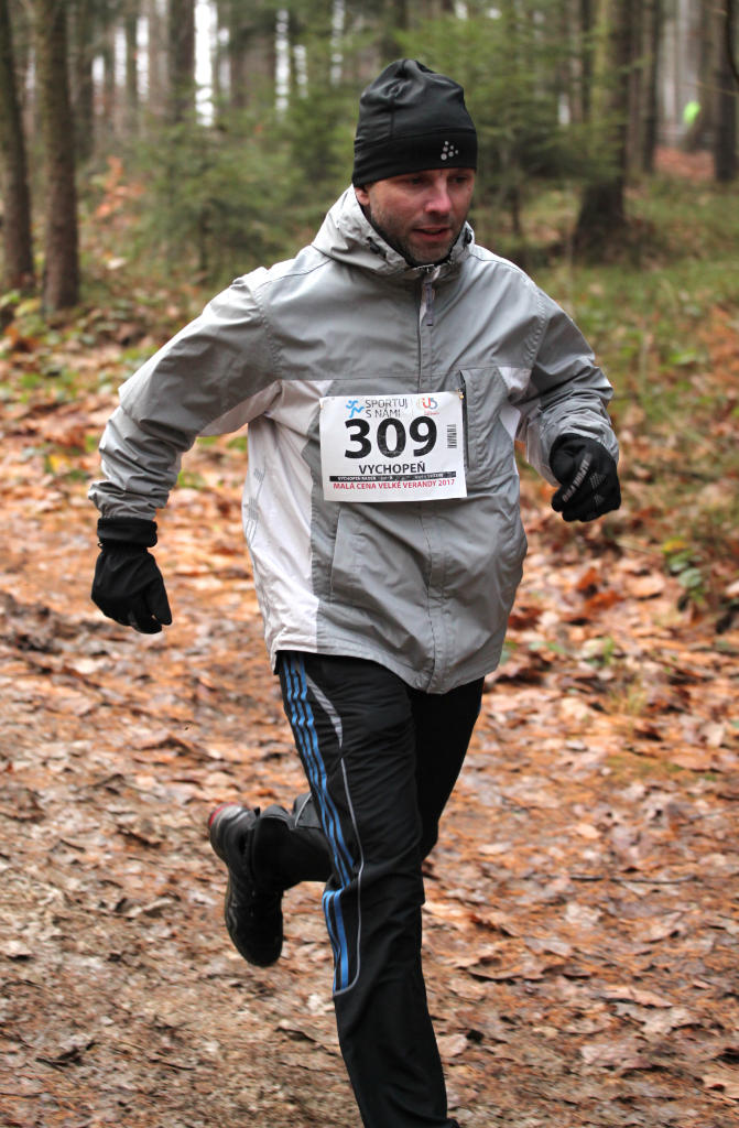 Wimmer Michal 2017