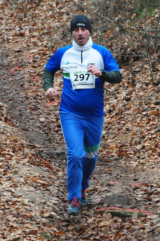 Šabatka Petr 2017