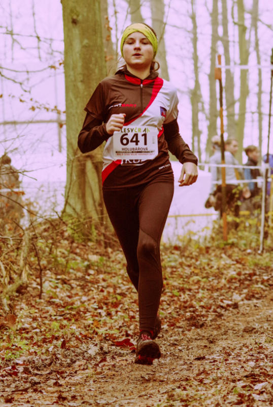 Holubářová Viktorie 2017