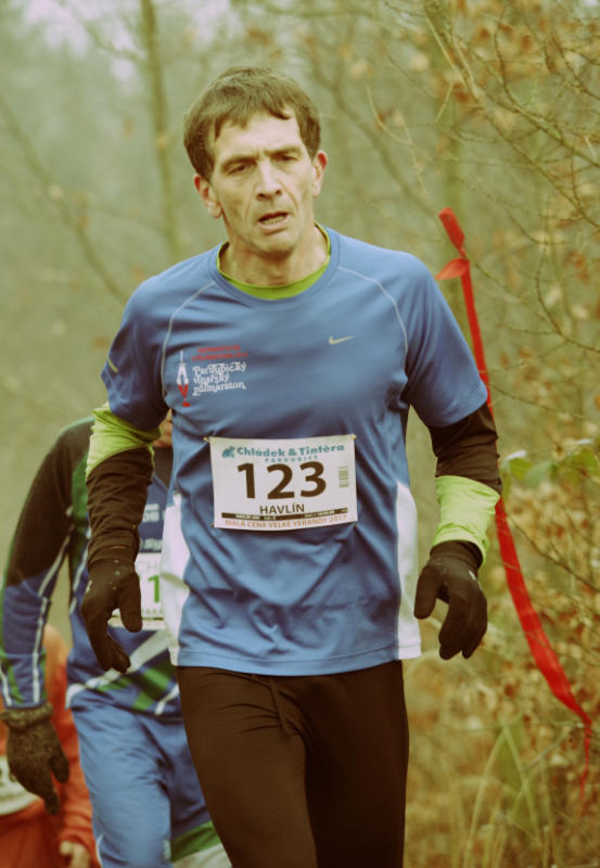 Havlín Jan 2017