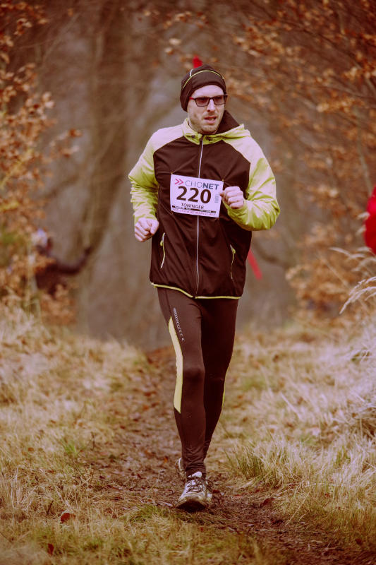 Toninger Jiří 2017