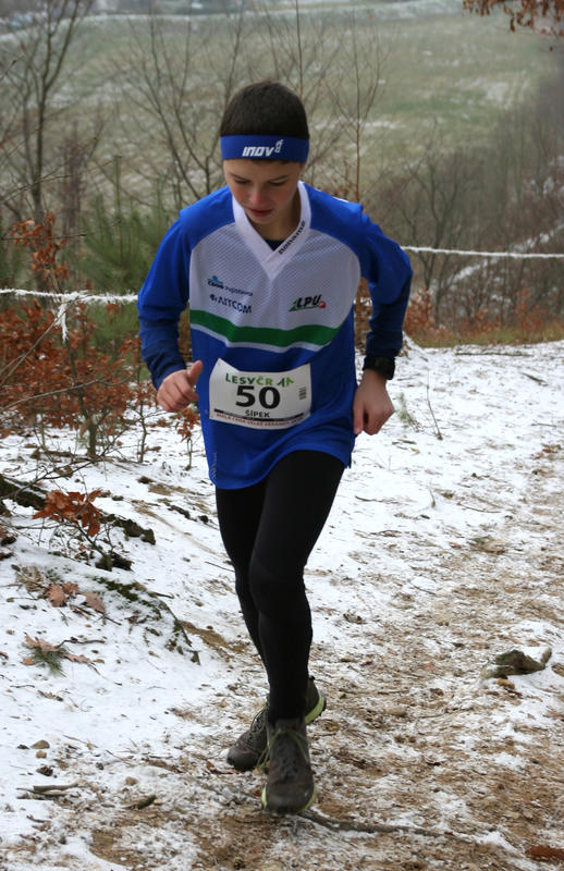 Šípek Ondřej 2018