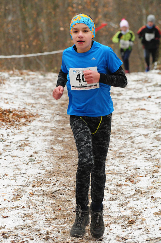 Hladík Jakub 2018