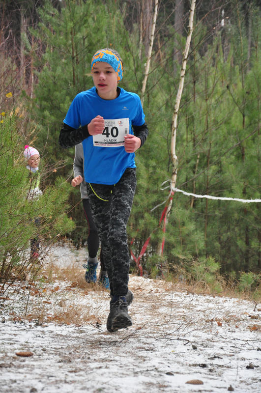Hladík Jakub 2018