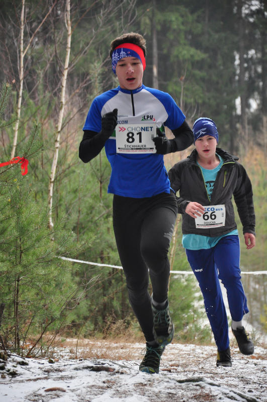 Štichhauer Daniel 2018