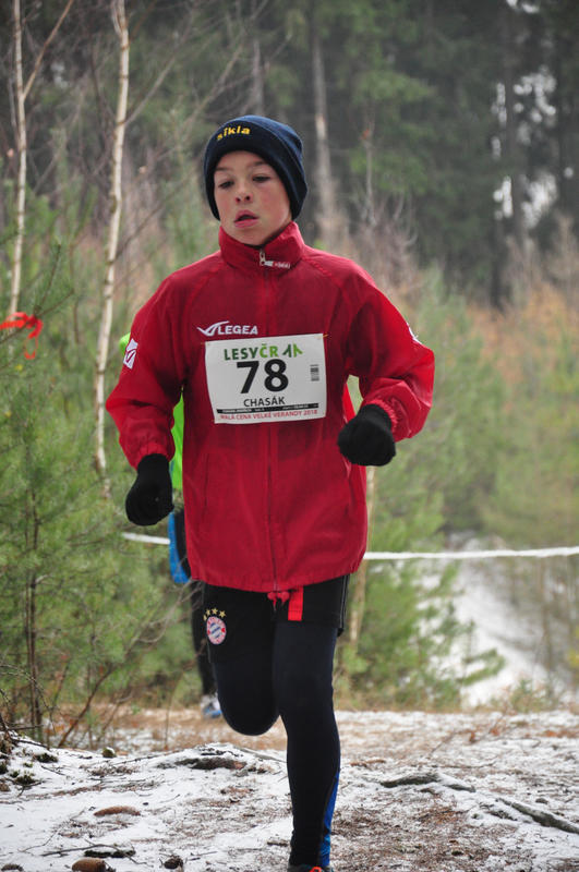 Chasák Jindřich 2018
