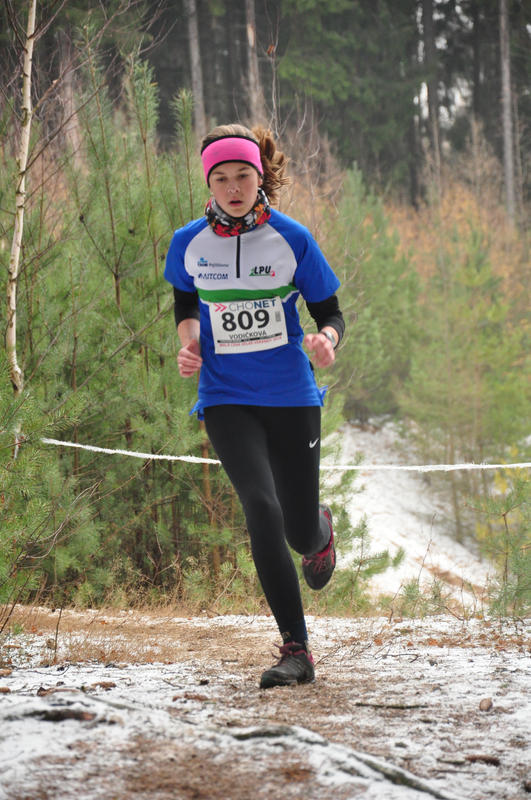 Vodičková Johana 2018
